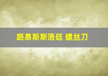 路易斯斯洛廷 螺丝刀